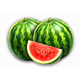 the king crimson crown melon symbol