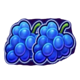 thunder coins xxl multicoin grapes symbol