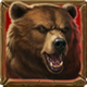 timber trail treasures bear symbol