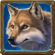timber trail treasures wolf symbol
