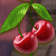 totem grace cherry symbol