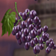 totem grace grape symbol