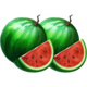 train of fortune watermelon symbol