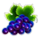 triple money jackpot bells grapes symbol