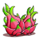 tucanito dragonfruit symbol