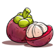 tucanito mangosteen symbol