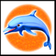 twin win dolphin symbol