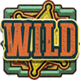 wanted dead or a wild wild symbol