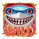 wealthy sharks wild symbol