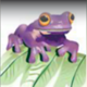 wgs city of gold frog symbol
