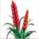 wgs city of gold plant symbol