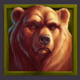 wild buffalo bear symbol