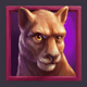 wild buffalo cougar symbol