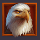 wild buffalo eagle symbol