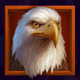 wild buffalo hold n link eagle symbol