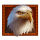 wild buffalo rapid link eagle symbol