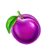 wild cascade plum symbol