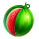 wild coin 1000 melon symbol