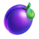 wild coin 1000 plum symbol