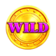 wild coin 1000 wild symbol