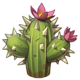 wild duel cactus symbol