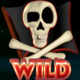 wild galleon wild 1 symbol
