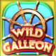 wild galleon wild scatter symbol