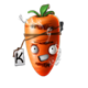wild grills k symbol
