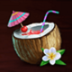 wild hog luau coconut symbol