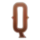 wild wick q symbol