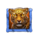 wildcat fury tiger 2 symbol