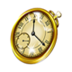 wilds deluxe watch symbol