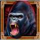 wolf fang aztec howl roaring gorilla symbol