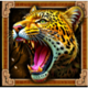 wolf fang aztec howl roaring jaguar symbol