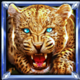 wolf fang crystal caves symbol 2