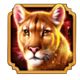 wolf fang desert mirage lion symbol