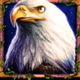 wolf fang eclipse eagle symbol