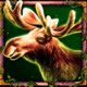 wolf fang eclipse elk symbol
