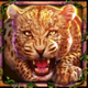 wolf fang eclipse tiger symbol