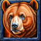 wolf fang ice and fire bear symbol