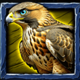 wolf fang ice and fire falcon symbol