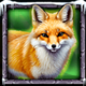 wolf fang northern spirits fox symbol