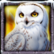 wolf fang northern spirits owl symbol