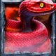 wolf fang shadow realm 1 symbol