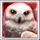 wolf fang snowfall owl symbol