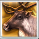 wolf fang snowfall reindeer symbol