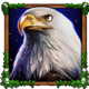 wolf fang spring awakening eagle symbol