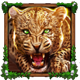 wolf fang spring awakening jaguar symbol