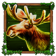 wolf fang spring awakening moose symbol
