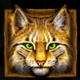 wolf fang supermoon cat symbol